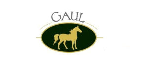 Weingut Gaul